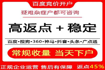 行业领先！专业SEM托管的成功实践案例